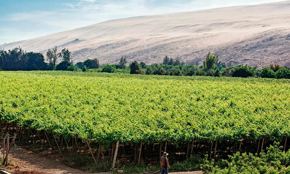 Mais além do tradicional: destinos emergentes no Peru que encantam os brasileiros