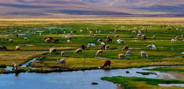 Cusco, a capital do Império Inca