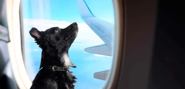 Mejores aerolíneas para volar a Lima y Cusco