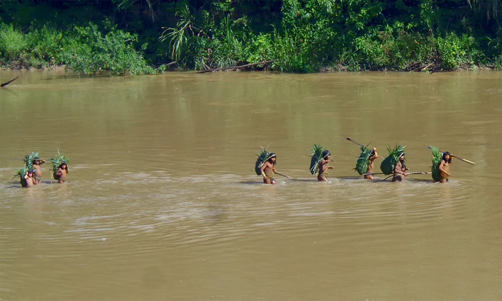 Pueblos Indígenas en Aislamiento Voluntario (no contactados) y Normas de Protección