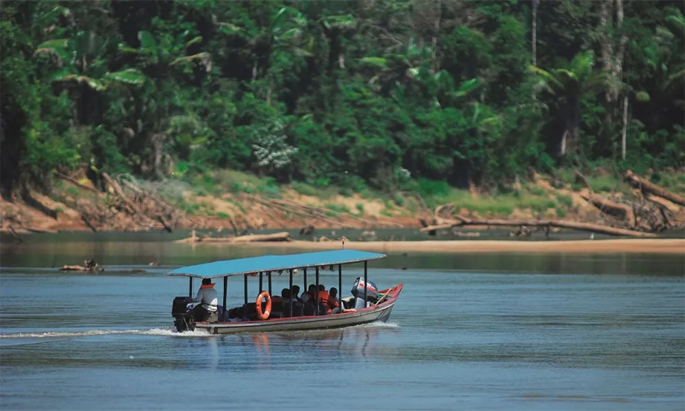 Navegación en bote por el río Madre de Dios y río Manu: Tiempos y Seguridad