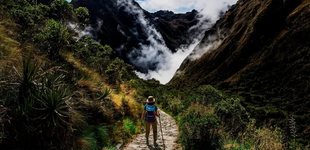 Mosquitos y protección en la parte de ceja de selva del Salkantay