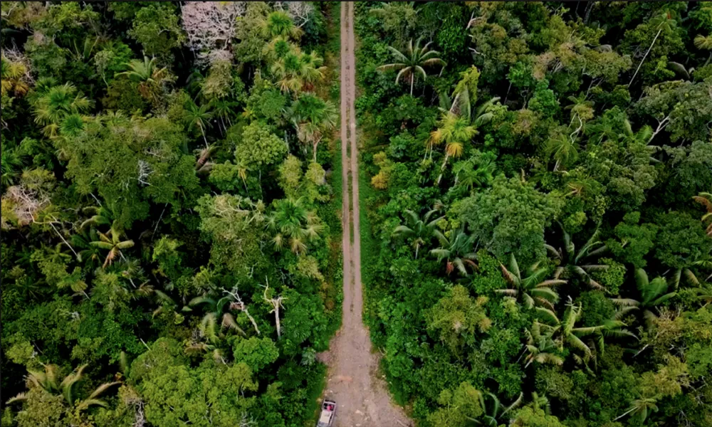 Perspectivas Futuras de Conservación del Manu ante minería, tala y expansión agrícola