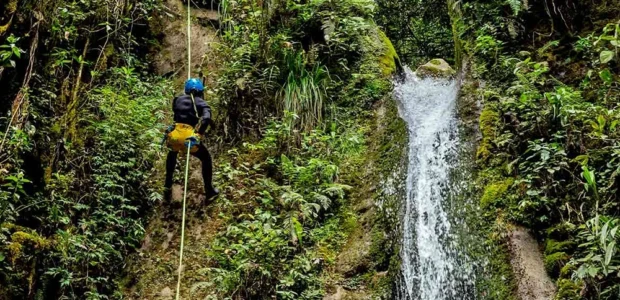 Inka Jungle por libre vs tour organizado: qué es posible y qué no
