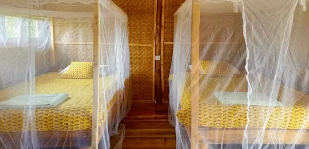 Protección contra Mosquitos y Sandflies en el Inka Jungle