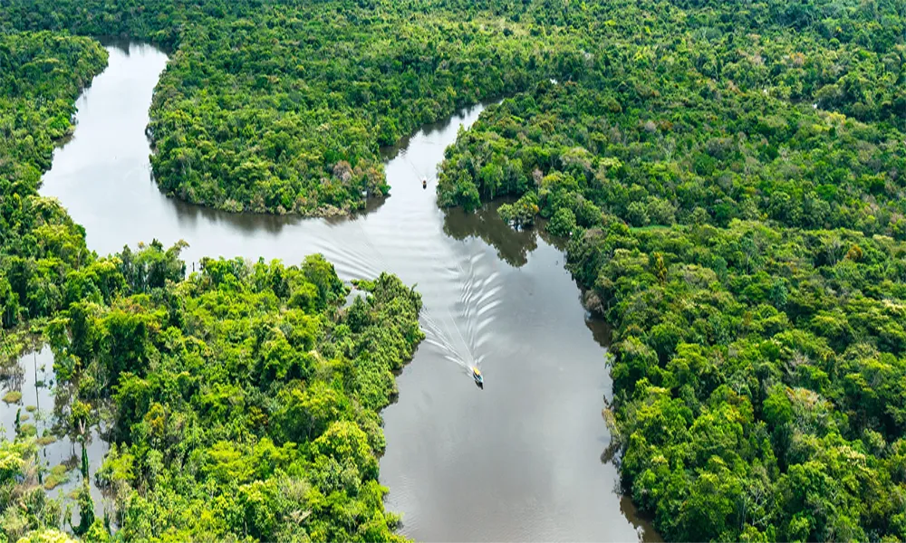 Fotografía de Naturaleza en el Manu: Equipo recomendado y Condiciones de luz