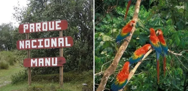 Requisitos de Ingreso al Parque Nacional del Manu (Permisos y Regulaciones)
