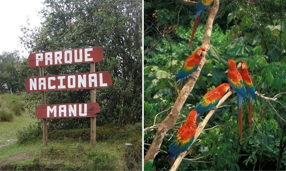 Requisitos de Ingreso al Parque Nacional del Manu (Permisos y Regulaciones)