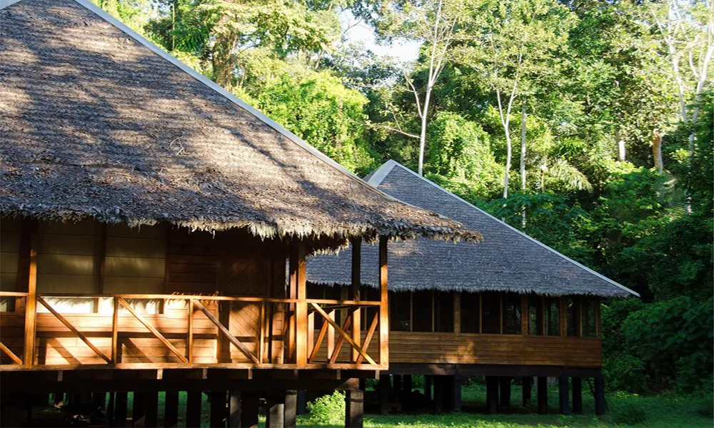 Types of Accommodation in Manu: Rustic Lodges and Hostels