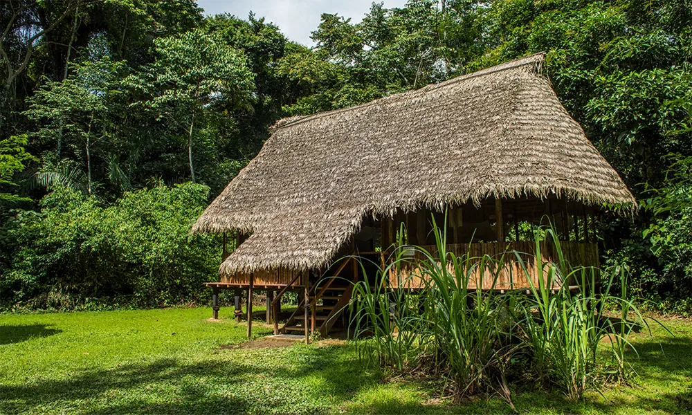 Es Seguro Viajar al Parque Nacional del Manu (Salud, Selva, Navegación)
