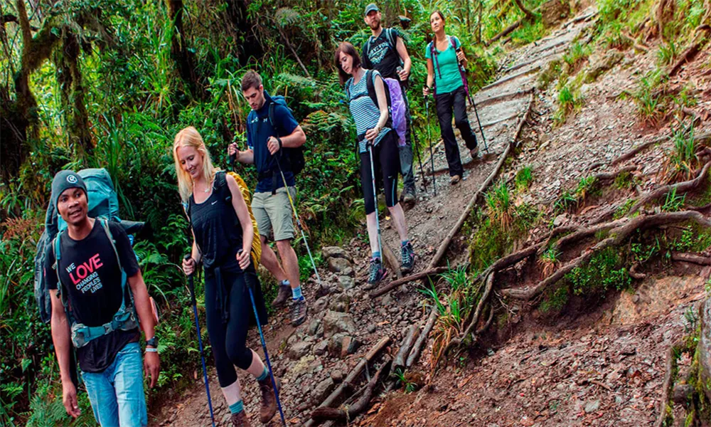 Cómo se conecta el Inka Jungle con la entrada y tour guiado en Machu Picchu