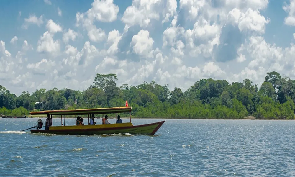 Qué tan difícil es llegar al Manu desde Cusco (Tiempos y Tipo de Transporte)
