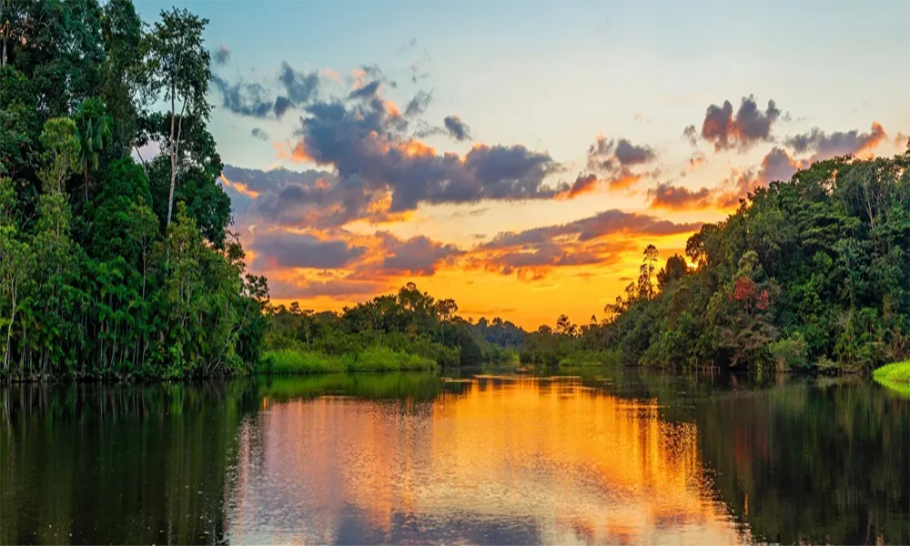 Diferencias entre Tours Cortos (3–4 días en zona Cultural) y Largos (7+ días en Zona Reservada)