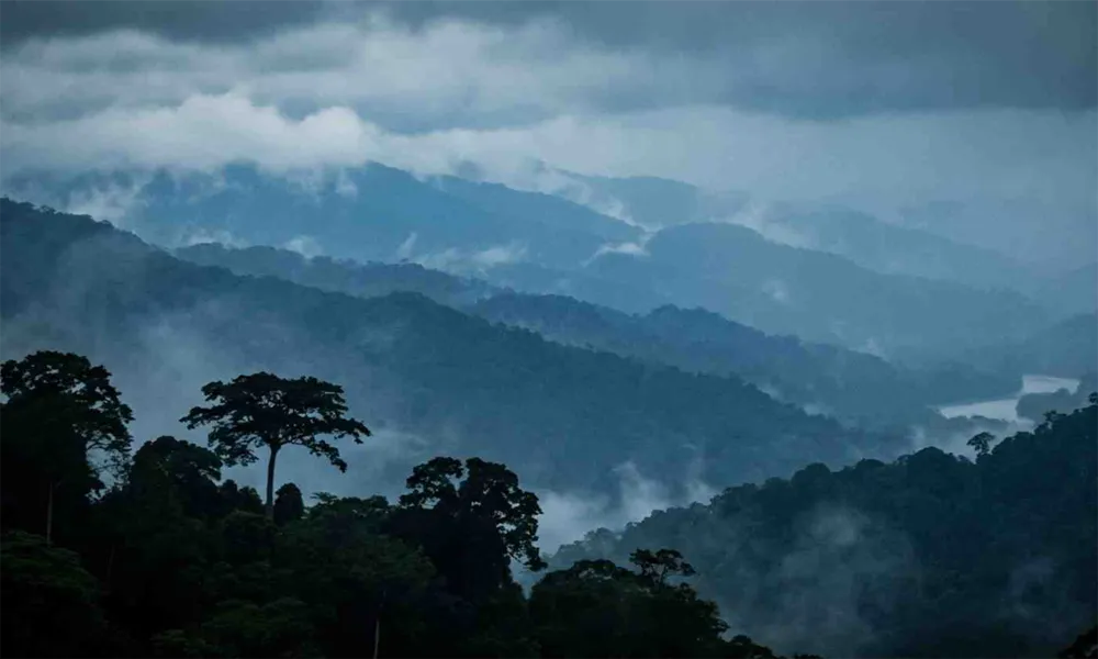 Qué pasa si viajo al Manu en Temporada de Lluvias (Diciembre–Marzo)