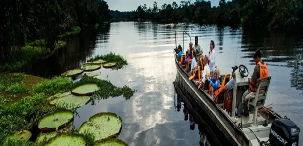 Qué Incluye un Tour Típico al Manu (Transporte, Guías,ect)