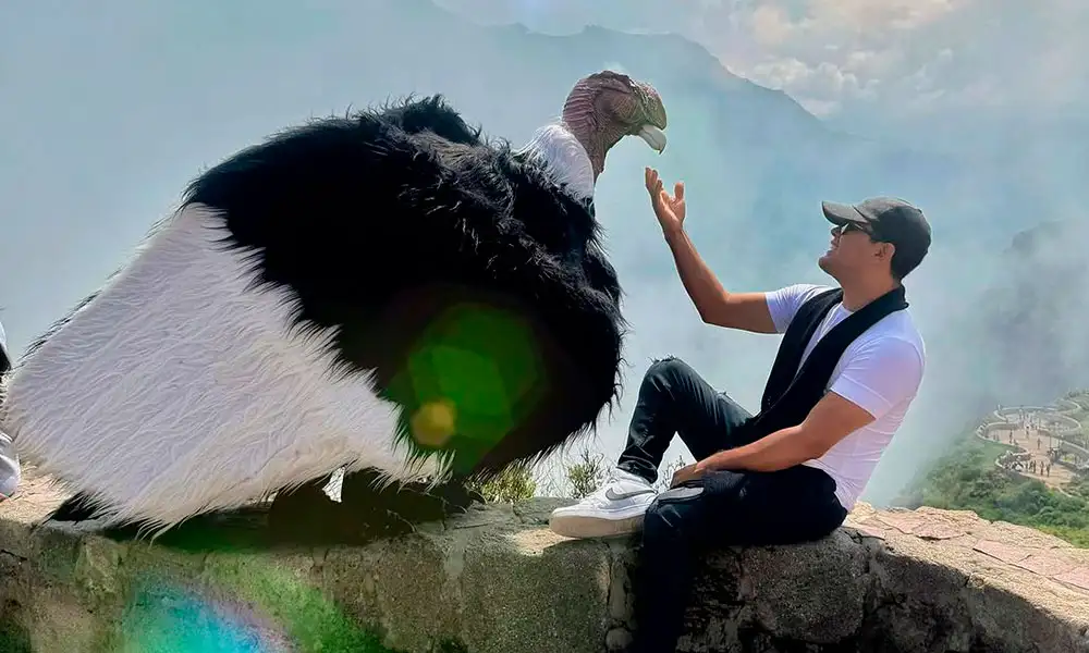 Mejor tour al Colca: Cuál elegir