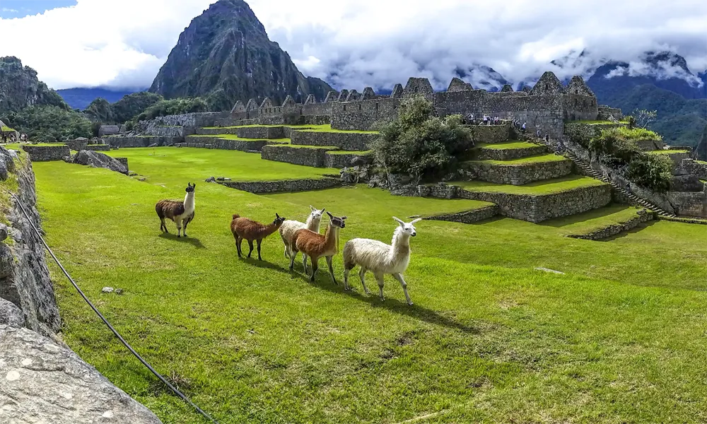 Machu Picchu a 2 dias de Cusco: Plano ideal com Aguas Calientes.