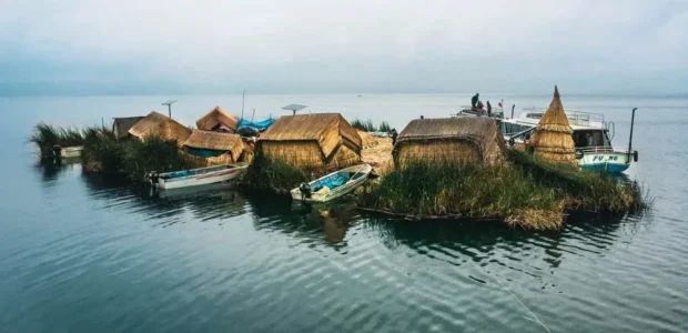 Flora y fauna del Lago Titicaca
