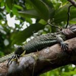 TOUR IQUITOS 2 DIAS 1 NOCHE