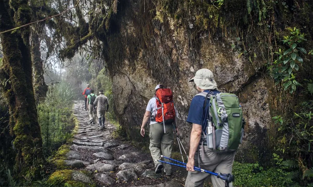 Camino Inca a Machu Picchu 3 Días Aventura, Historia y Conexión Andina