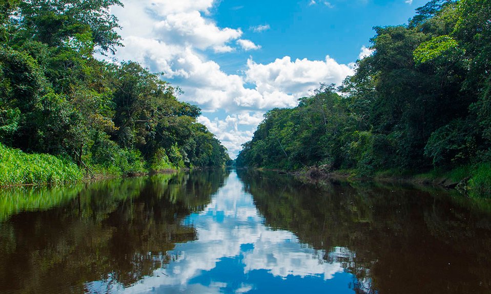 Reserva Pacaya Samiria 3 Días 2 Noches Privado Aventura Amazónica desde Iquitos