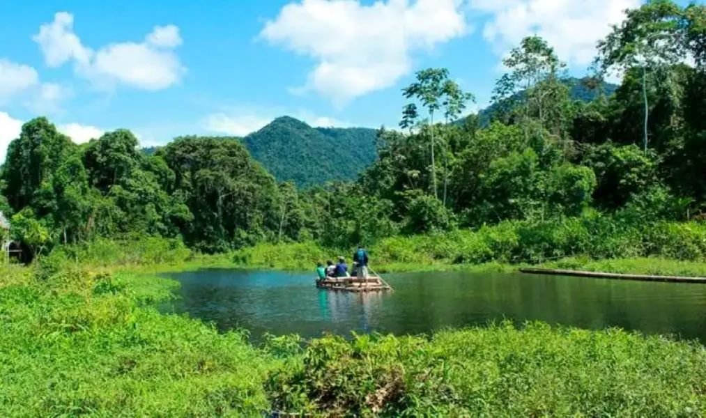 Tour Pacaya Samiria 4 Días 3 Noches desde Iquitos
