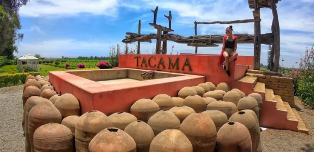Bodegas Vitivinícolas y Pisqueras de Ica