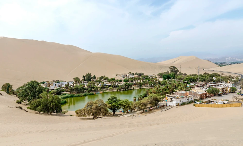 Tour Privado desde Lima: Oasis Huacachina, Paracas, Pisco, Vinos y Pingüinos