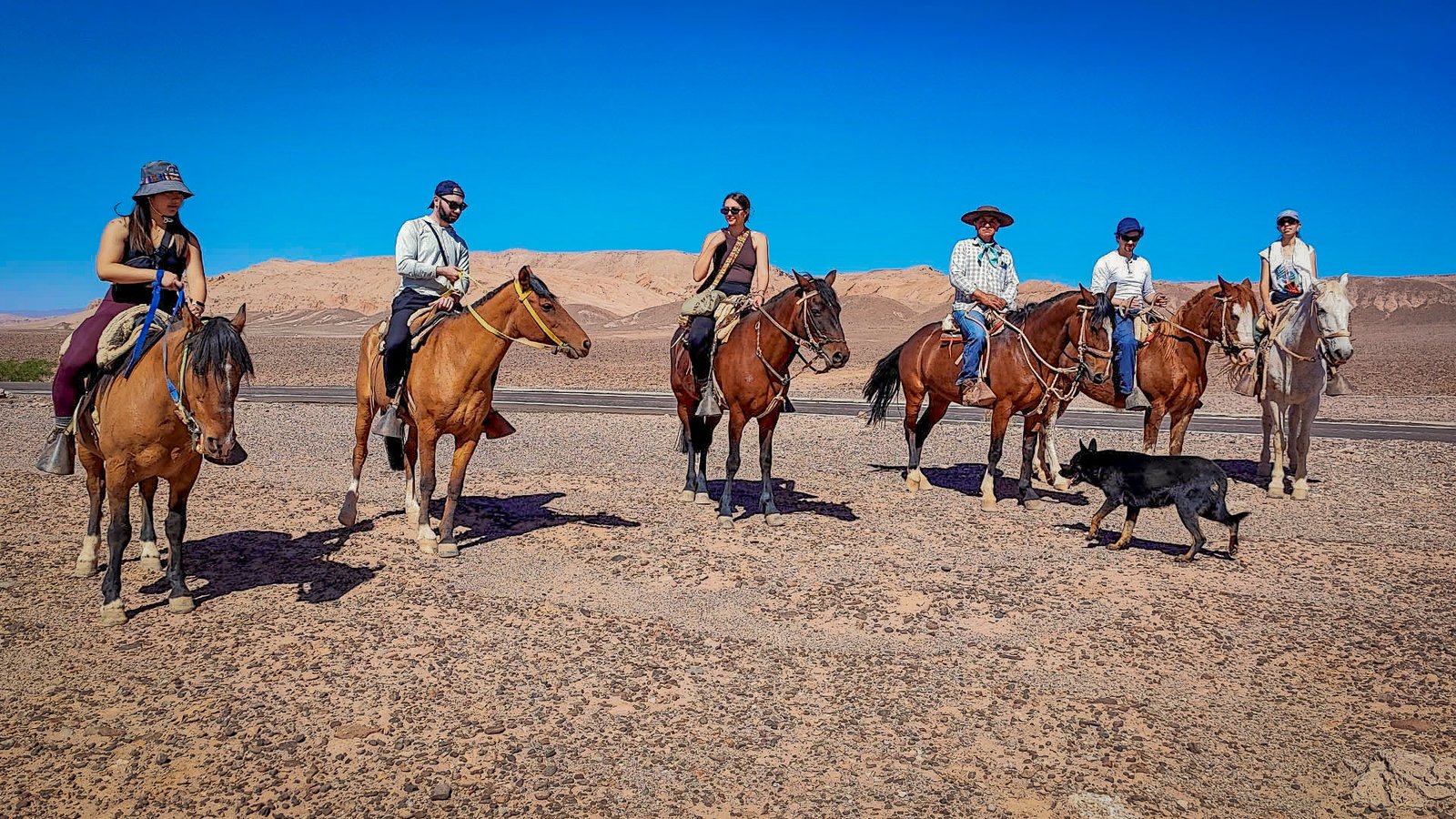 CABALGATAS: AVENTURA A CABALLO