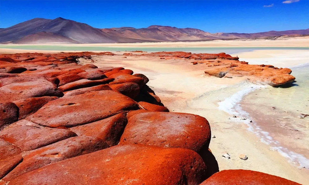PIEDRAS ROJAS + LAGUNAS ALTIPLÁNICAS