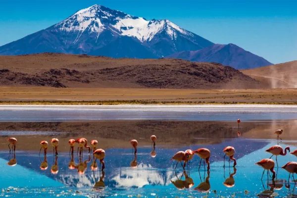 SAN PEDRO DE ATACAMA – UYUNI | 3D/2N SERVICIO PRIVADO VIP